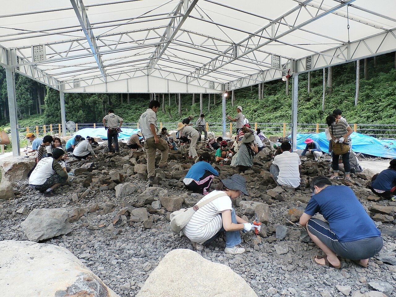 化石発掘体験の様子